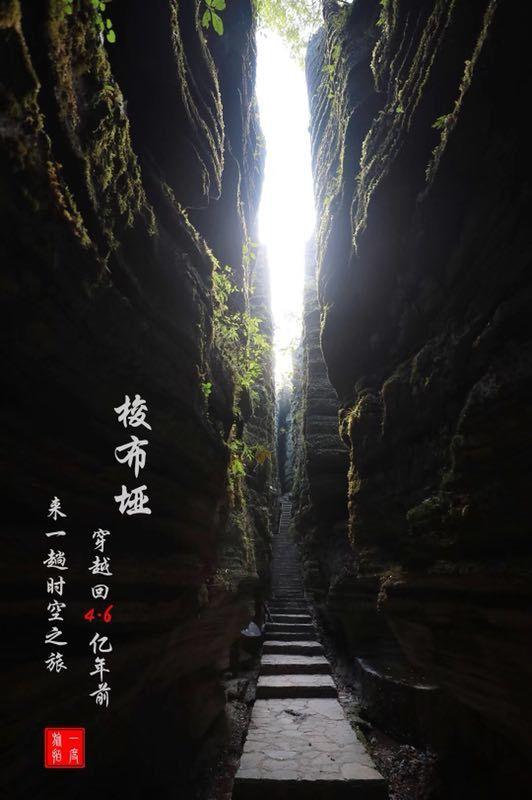 上海女排获决赛开门红
