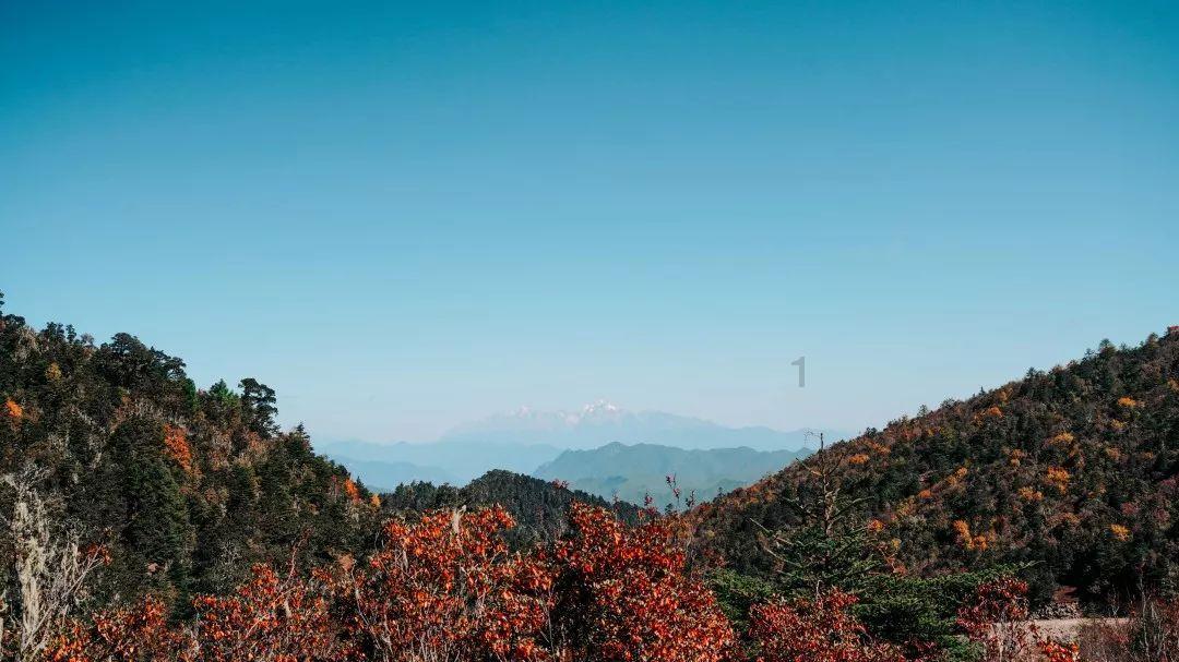 逃离撒丁岛