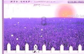 逃离石墙屋