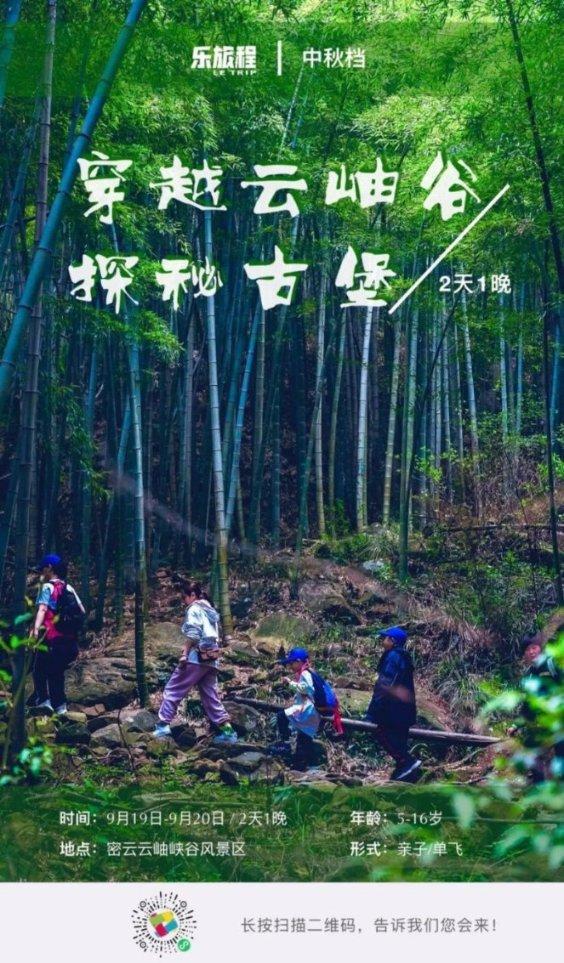 花瓶粉碎者