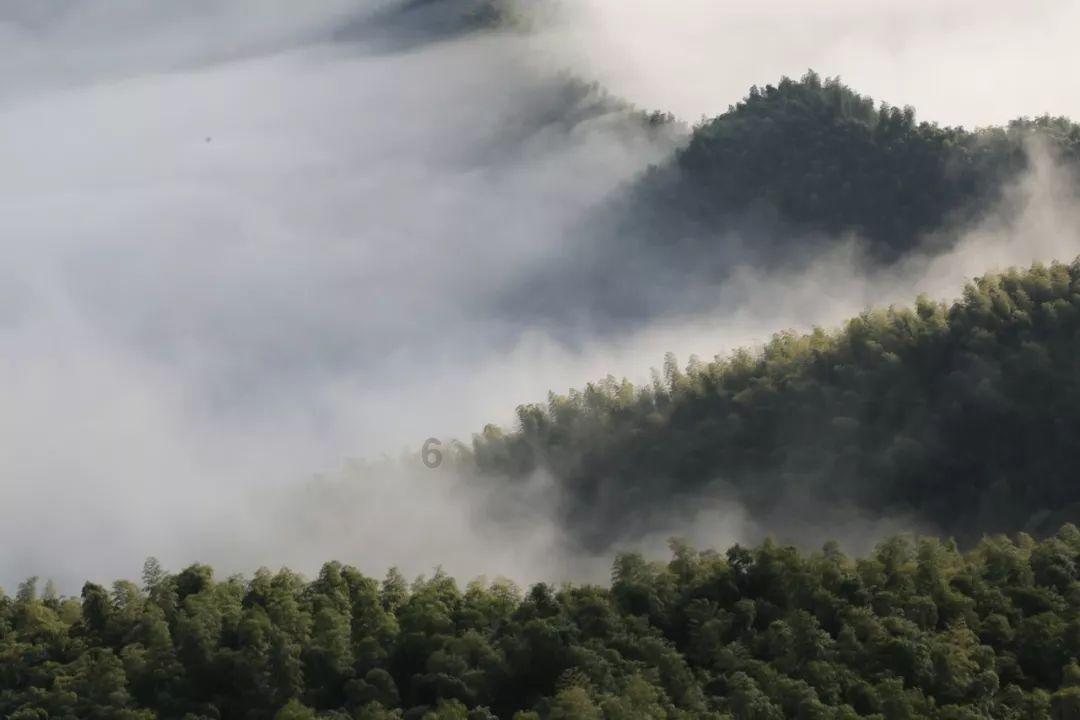 惊叹突然发现老婆已经出轨半年了,该怎么办?,冷知識分享平台震撼登場!
