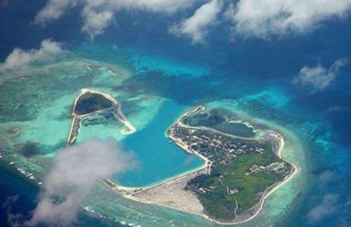 “五外联动”助力广东高水平对外开放(经济聚焦)