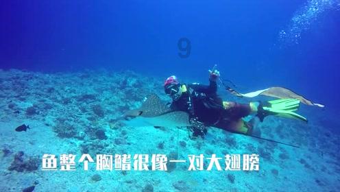 盘点2023，四川有哪些改革事项获得全国推广或表彰？
