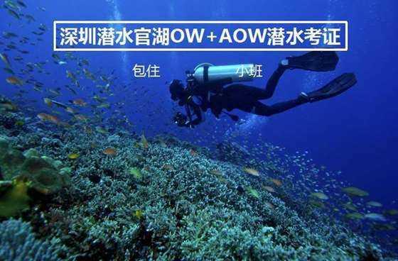 虫虫助手下载