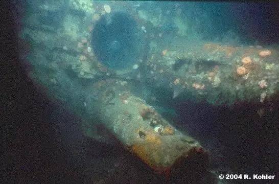 重庆坠亡姐弟生父张波下手两次才得逞，两凶手谋划半年，孩子外婆：第一次说带孩子买衣服就觉得奇怪