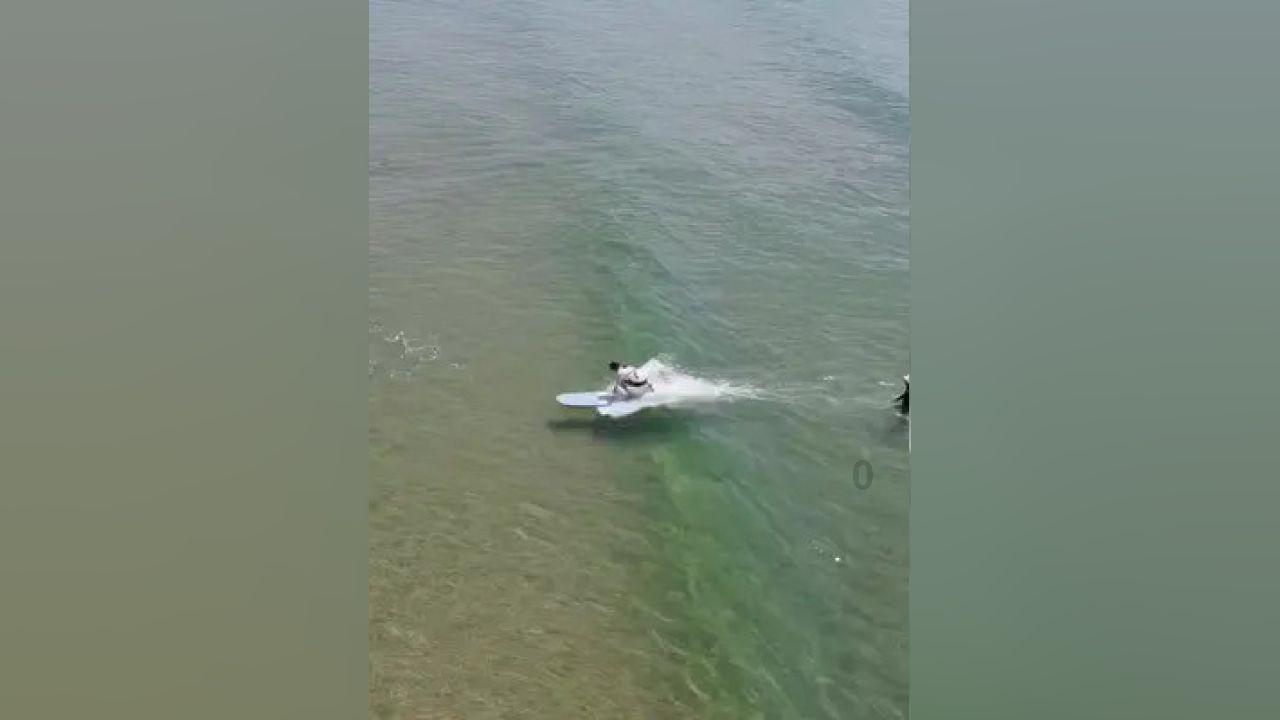 牛油果面包