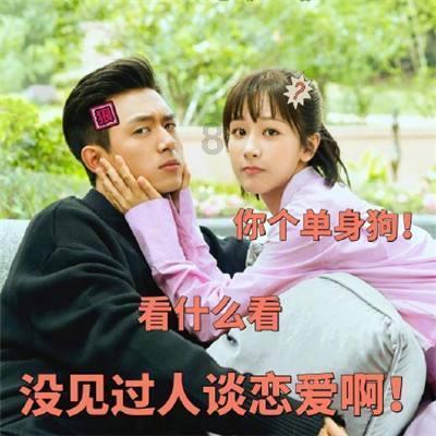 时尚小鸡救援