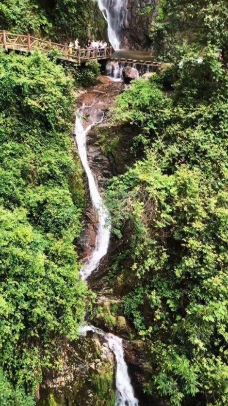 成长家园