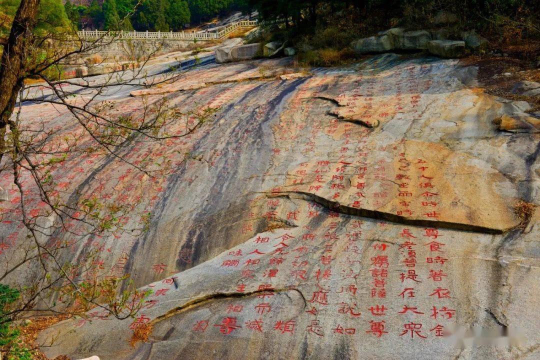 逃离潮湿的房屋