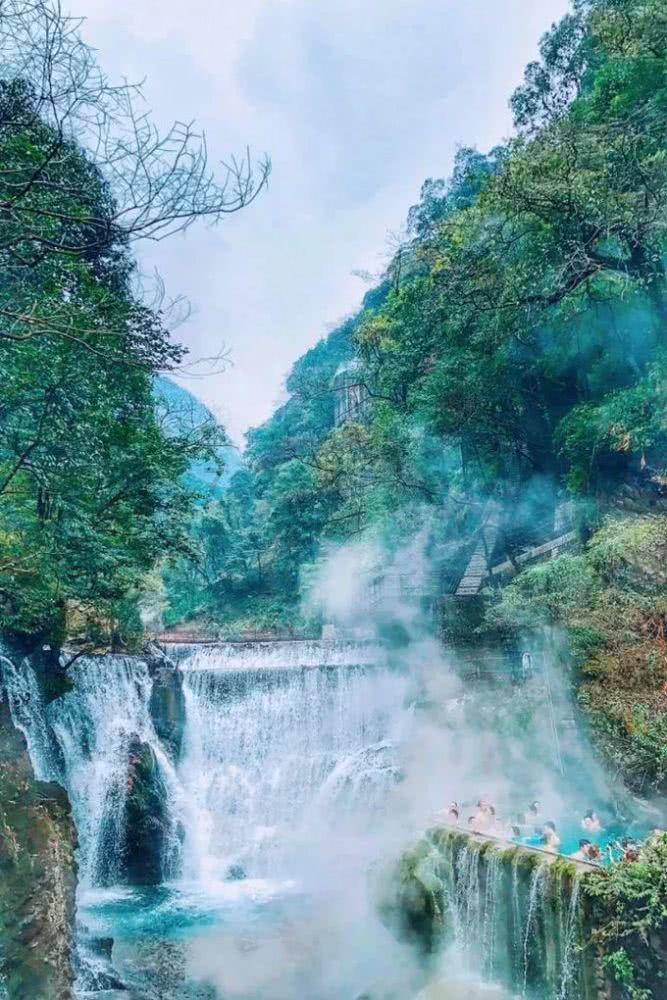 喜迎龙年新春 泼墨沽河两岸——青岛市首届沽河杯迎新春书画联展成功举行