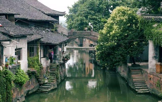 拯救小萌虎