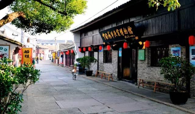 小乌龟逃亡记