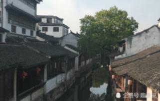宠物世界聚会
