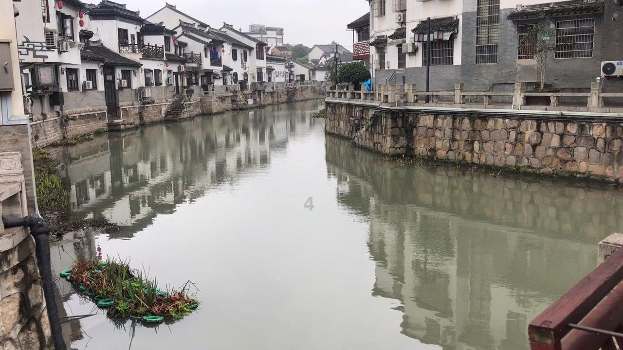 小猫钓鱼正版下载中文版