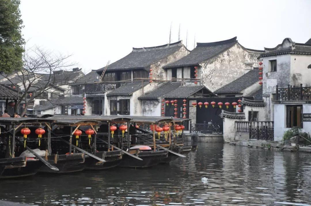 你们在玩神秘?隔壁汪星人挖洞钻篱笆 探出毛毛头凑热闹