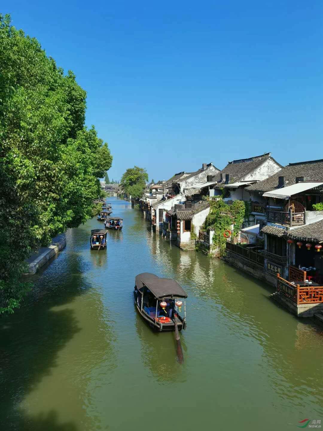河南首例克隆羊“小龙”诞生
