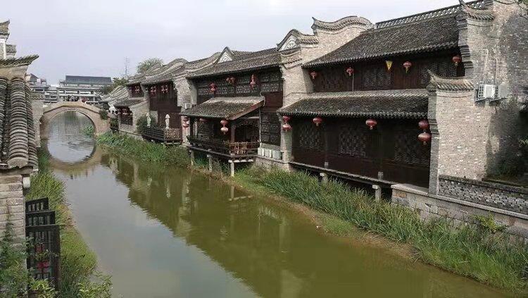 僵尸顶顶乐