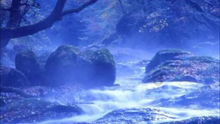 ​王京海督导低温雨雪冰冻灾害防范、安全生产工作